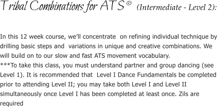 Tribal Combinations for ATS (Intermediate - Level 2):  In this 12 week course, well concentrate  on refining individual technique by drilling basic steps and  variations in unique and creative combinations. We will build on to our slow and fast ATS movement vocabulary. ***To take this class, you must understand partner and group dancing (see Level 1). It is recommended that  Level I Dance Fundamentals be completed prior to attending Level II; you may take both Level I and Level II simultaneously once Level I has been completed at least once. Zils are  required